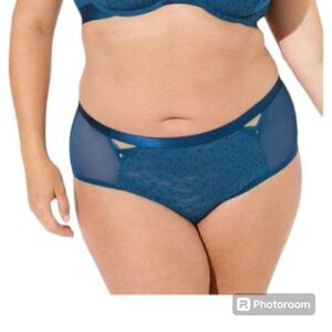 6X 30W Torrid Blue Animal Lace Cheeky Panty Lingerie Sheer Breathable Summer NWT